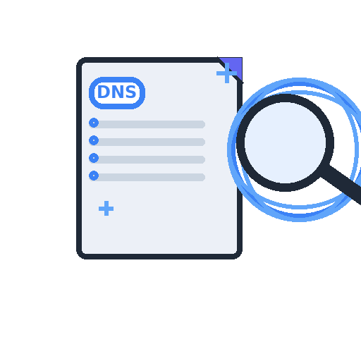 DNS Lookup Tool illustration
